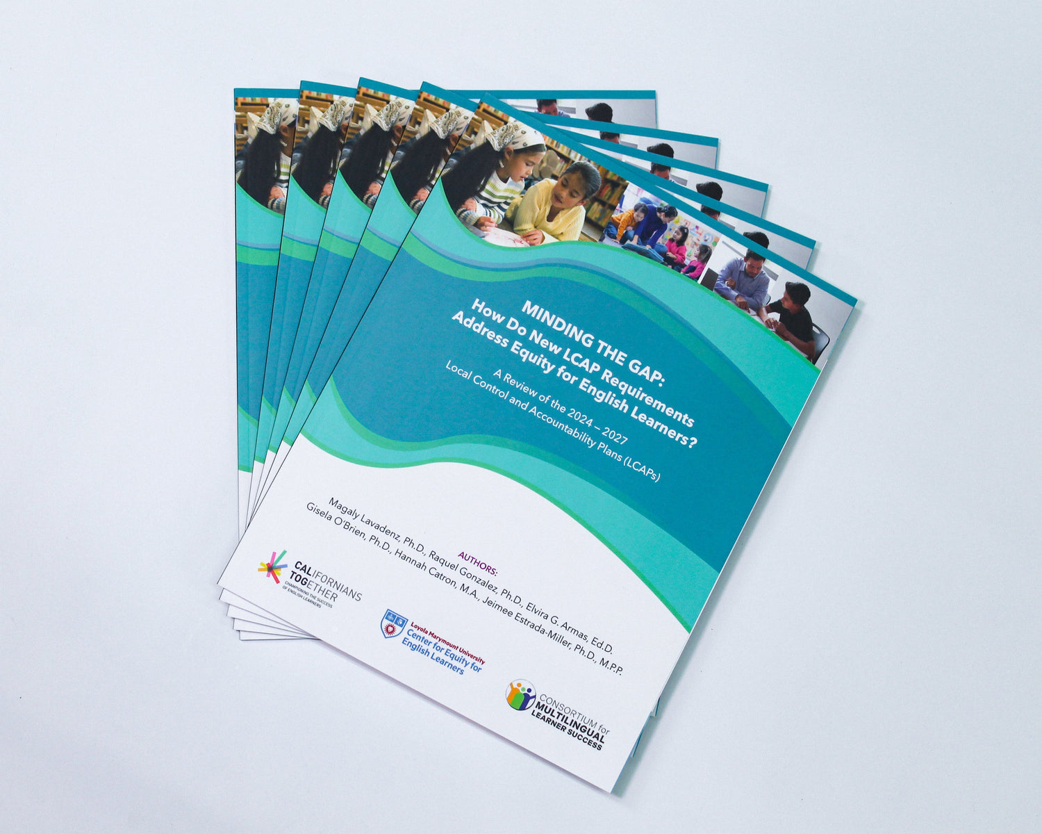 Local Control & Accountability Plan reports