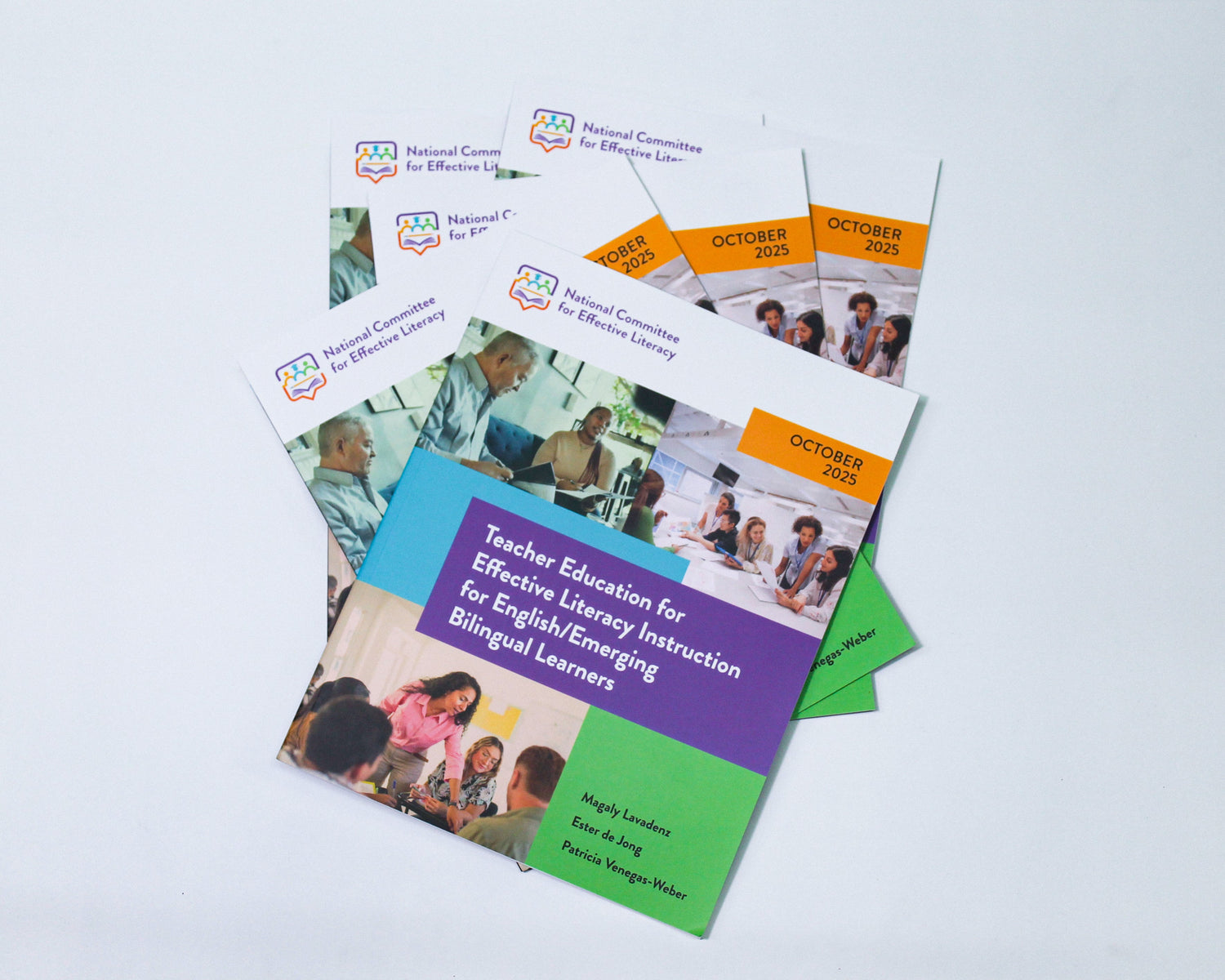 National Committee for Effective Literacy publications