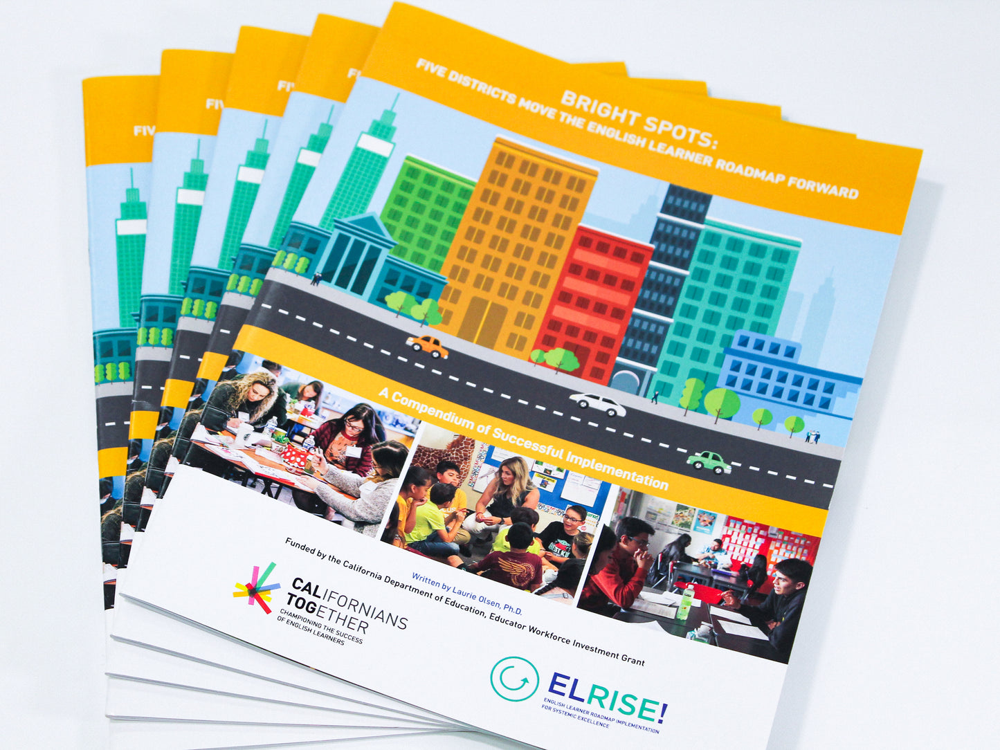 EL Roadmap | Bright Spots