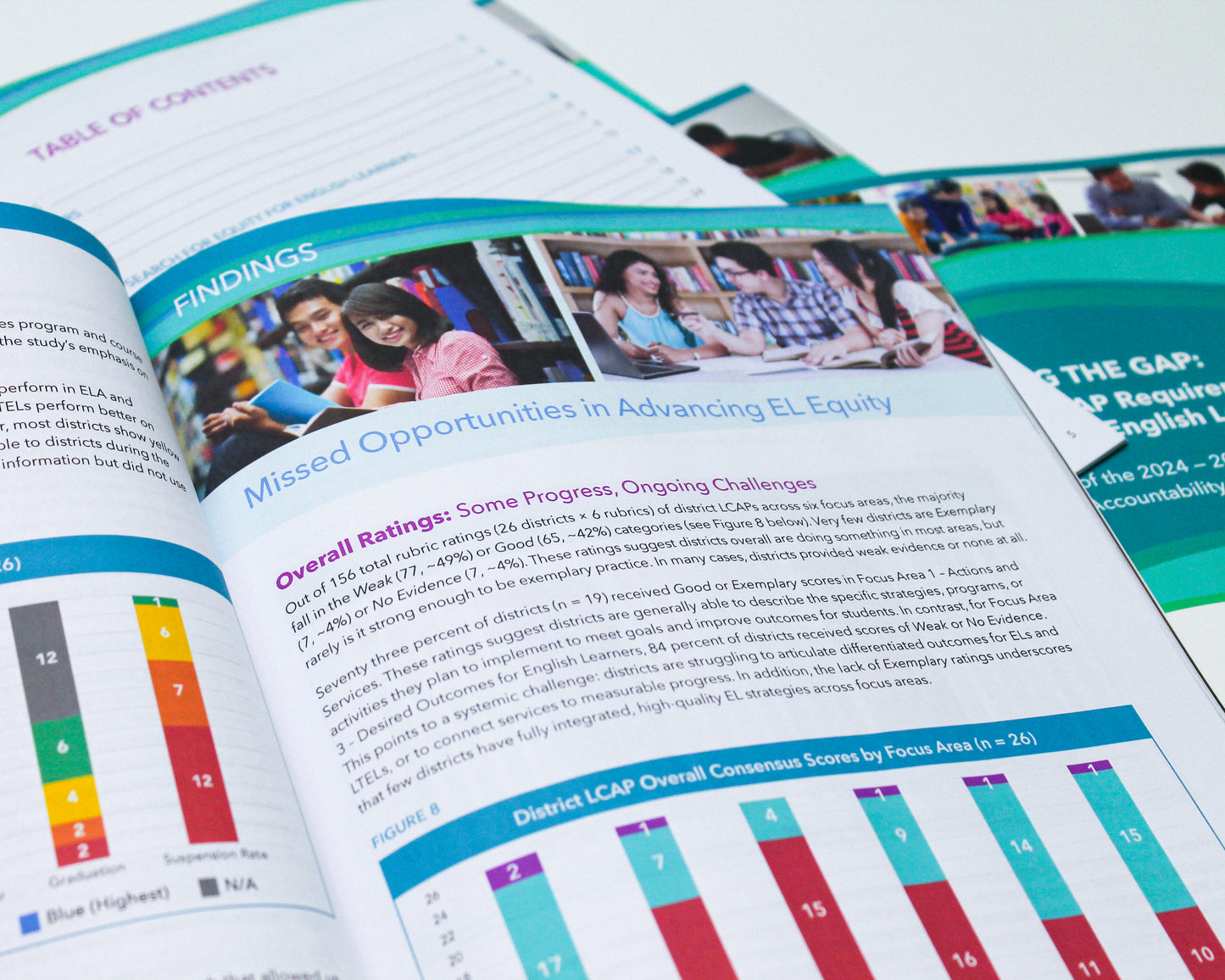 LCAPs | Minding the Gap (2024–2027)